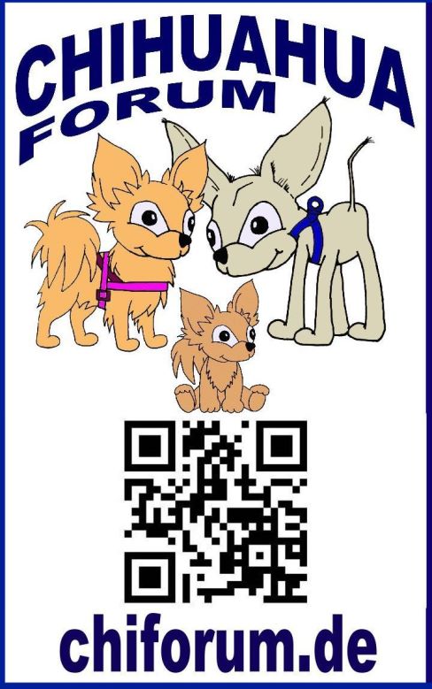 QR-Code Chiforum